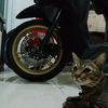usersecret_095