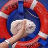 Hedgehog.idn