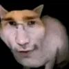 tian_pol
