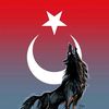 zamani_gelince