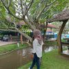 arfebrian91