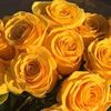 princess_10018