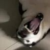 happier.11