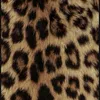 tvgrl444
