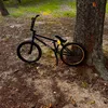 franio_on_bike_