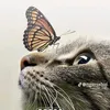 user2993bhu92y