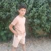 user12669305e46