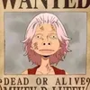 user7uayvy3u3h