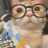 iky_iky228