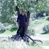dryimprovement