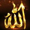 tamer12348