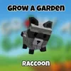 raccon_strore