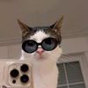 halima_mohamett