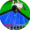 theshrimppimp8