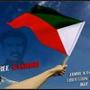 shoaibabbasikashmiri44