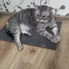 svetlana_1990s