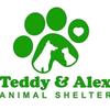 teddyalexshelter