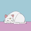 sleepypoly