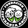 Fundación Esperanza Animal🇨🇱