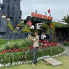 tieuan147
