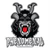 PhenomenalGaming