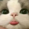 vivischulze_18