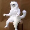 stephendb6266