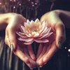 fairyrose_witch