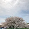 miraenohito
