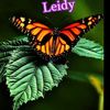 leyry