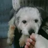 sandralisboa02