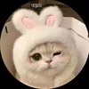 trannguyencn0803