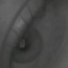 user4394999093318