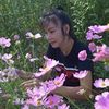 noy_a00