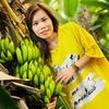 tangbangtroi_cherry