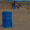 eduardo_3tambores