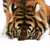 weix_qr