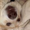 _beansontheside