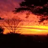 verena_59