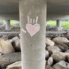 feli_p710