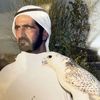 MOHAMMED BIN MAKTOUM