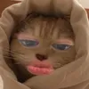 pootaatooisme