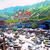 alam.gul.ahmadi