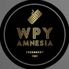 wpy_amnesia