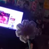 ndincutipie