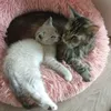 boutalaisaid