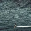 luongvu001