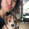 ลิง