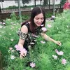 huyphan8776