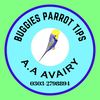 buggies_parrot_tips